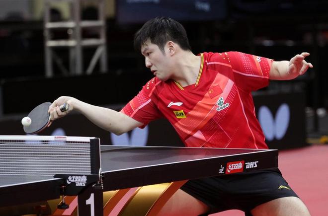 潘展乐已展 潘展乐已展