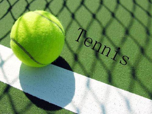 引进安东尼 引进安东尼