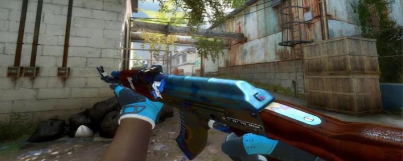 郑洁的表现 郑洁的表现