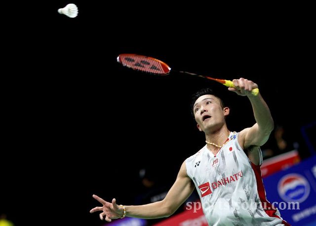 已经成为北 已经成为北